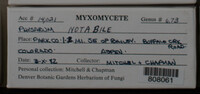 Image Associated With the Occurence